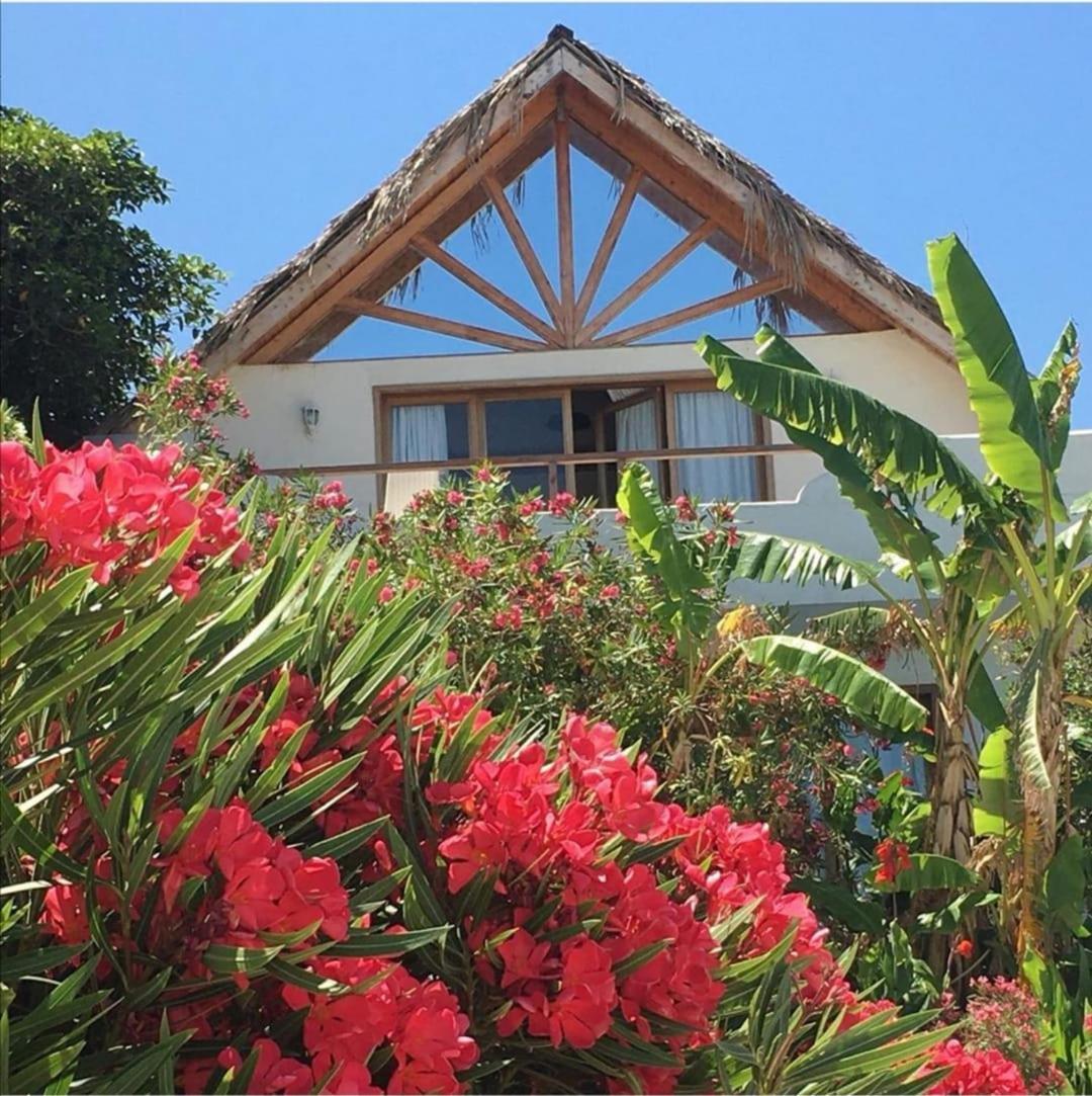 Jhotelresorts ดามัวร์ ภายนอก รูปภาพ